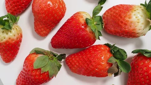 Reife Erdbeeren auf weißem Hintergrund. Erdbeeren aus nächster Nähe. Rote Erdbeere.