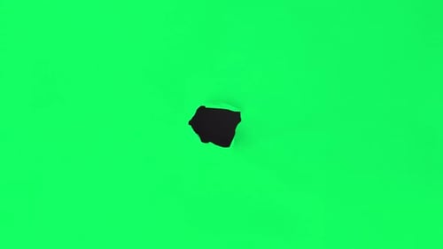 Libro verde Burst Rip