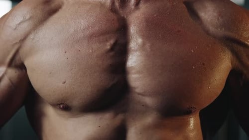 Muscular Chest of an Athlete After Working Out