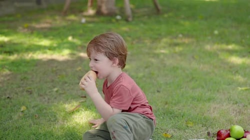 Adorable Caucasian boy sitting on a blanket in the grass in the village park. Eat bread to relieve h