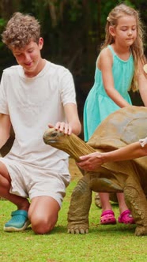 Family Pet the Head of a Rare Giant Turtle on the Tropical Island of Mauritius