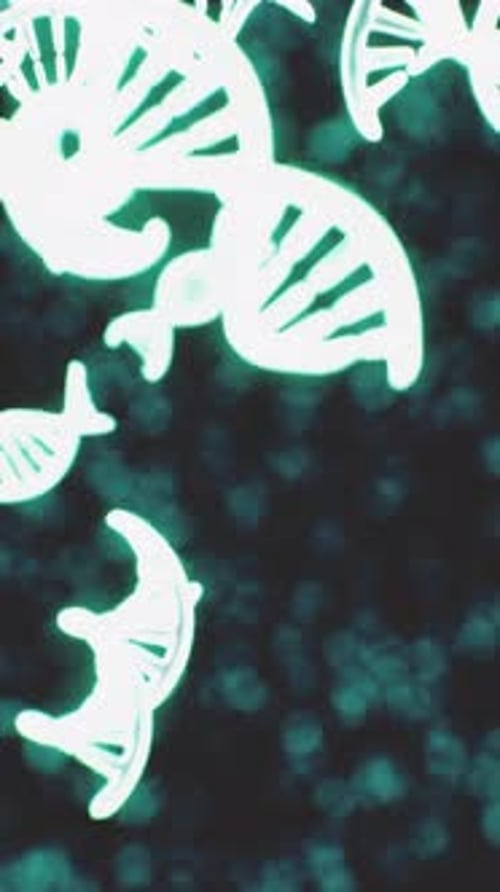 DNA Gene Helix Spiral Molecule Structure