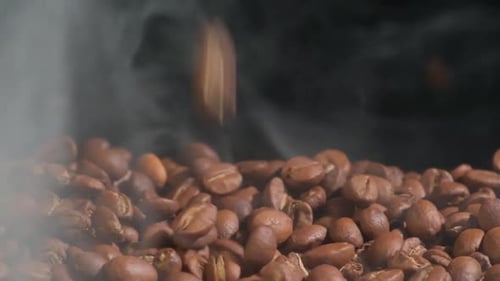 Steaming Roasted Coffee Beans Falling in Pile
