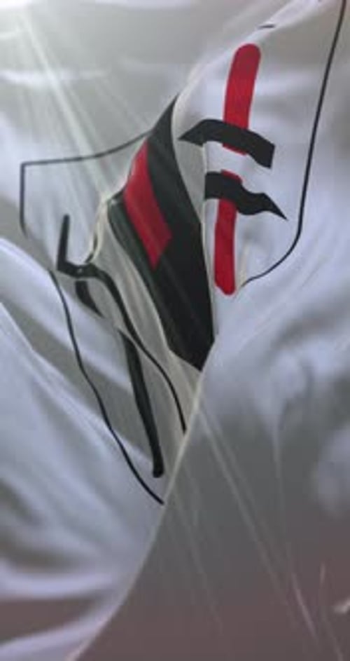 Vertical Waving Flag with Corporate Logo Animation