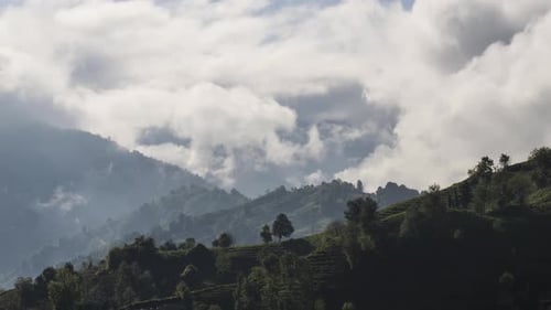 Tea Terraces And Cloud Movements