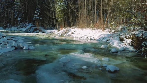 Aerial drone flight moving along a frozen mountain river in a forest with snowy tree tops in the Bav