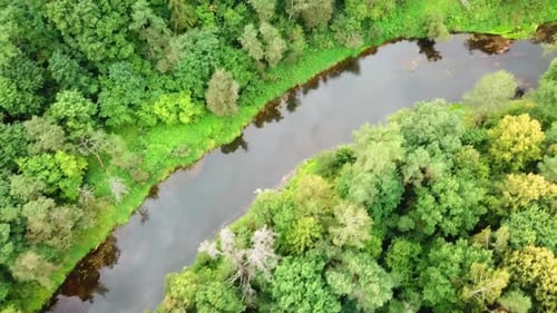 The Beautiful Nature Of The Luchos River 01