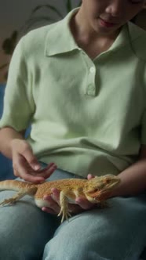 Femme asiatique caressant un lézard dragon assise à la maison