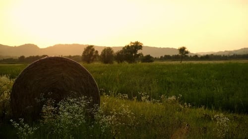 Haystack, hay bale in farm field country landscape during sunset at golden hour