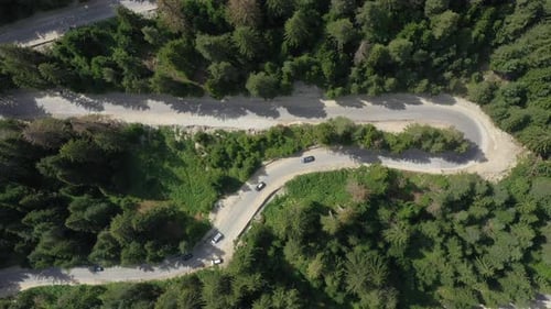Flight Over A Car Moving On An Asphalt Road Through Pine Forest In Mountains 3