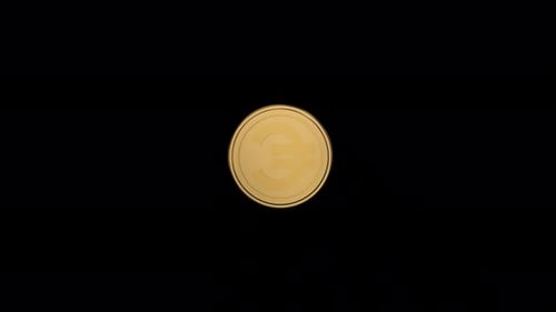 Spinning Gold Coin Animation with Central Symbol