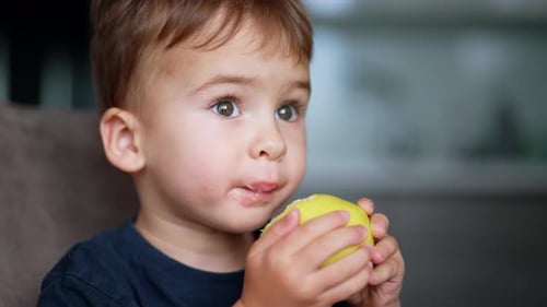 Cute adorable Caucasian toddler eating yellow apple. Kid shows the fruit to the camera. Close up.