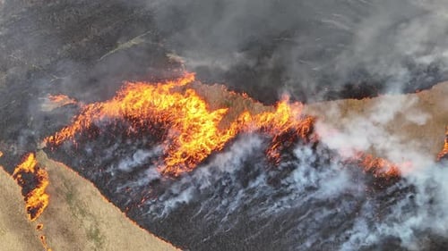Raging wildfire representative of Carolina fires.
