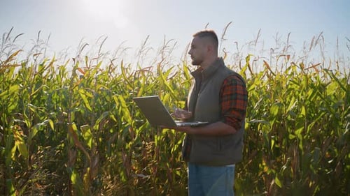 Young Agronomist with Laptop Analyzing Corn Harvest in Field