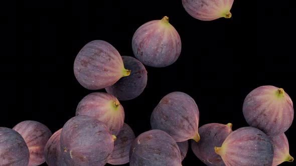 Fresh Ripe Figs Falling and Piling Up Animation, Elements Motion ...