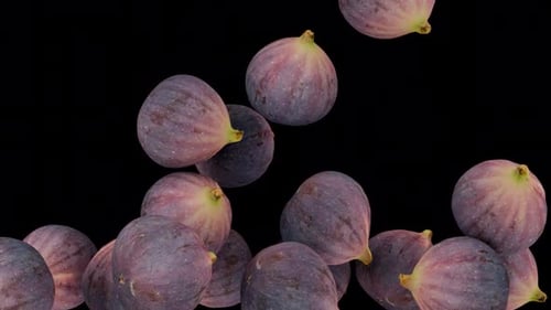 Fresh Ripe Figs Falling and Piling Up Animation