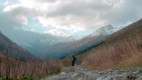 Hikers Trekking with Dog in Scenic Mountain Landscape