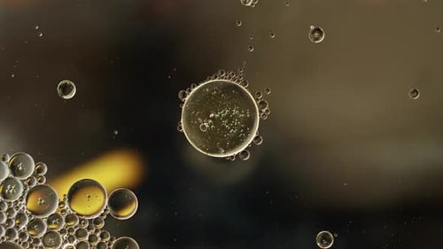 Colorful Oil Bubbles Moving On A Water Surface 088