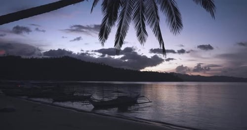 Palm Tree At Sunset On The Beach With Boats