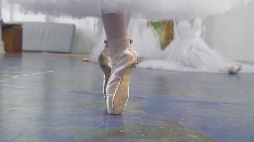 Ballerinas in Pointe Shoes and White Tutus