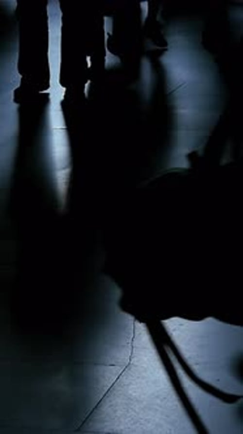 Silhouetted Figures Cast Upon a Glossy Floor Creating an Engaging Visual Experience