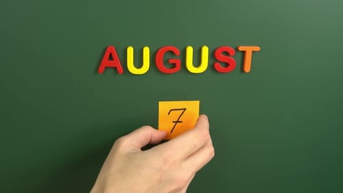 Hand sticking a sticker 7 August calendar day on school board. 7 date of august. Seventh day