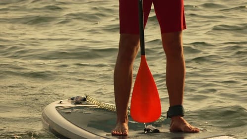 Man Paddle Boarding on Calm Ocean at Sunset