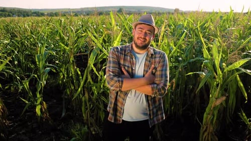 Man Posing in a Lush Corn Field