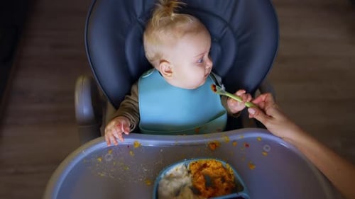 Cute Infant Being Fed in High Chair at Home