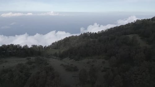 Lawu Mountain, Zentral-Java, Indonesien