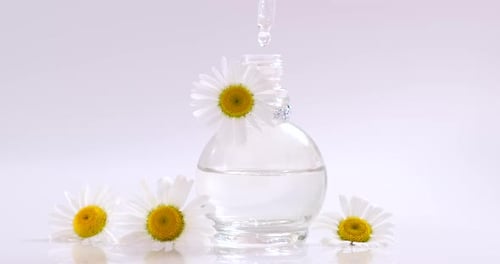 Cosmetic Serum Bottle with Daisy Flowers and Dropper