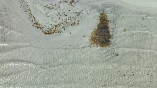 Top down Aerial view of a beach with rippling sand patterns and seaweed clusters.