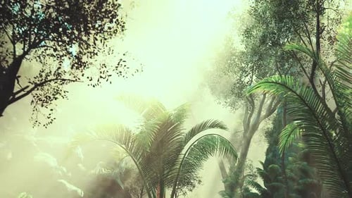 Lush Tropical Forest with Misty Sunlight Rays Background Animation