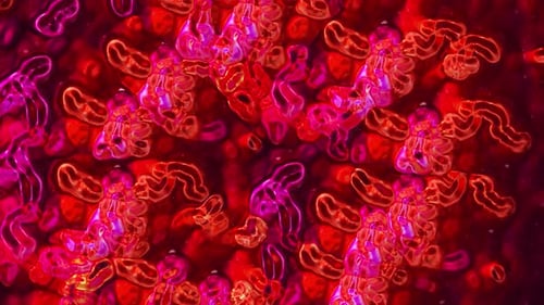 Glowing Fluid Red Cells Abstract Motion Background