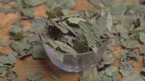 Feuilles de curry (Kadi Patta)