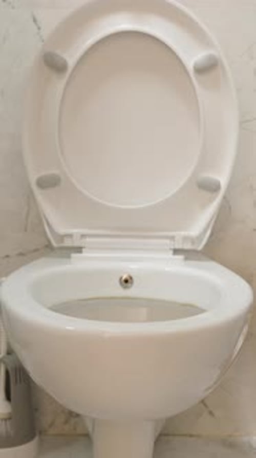 Vertical video. Toilet Seat Lids with Soft-Close Mechanism for Slow and Noiseless Closure.
