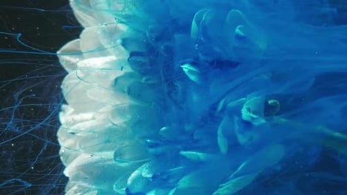 Blue Paint Diffusing Around Submerged White Flower