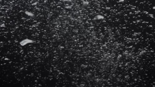 Le
chaos des bulles sous-marines sur des arrière-plans noirs. Mouvement de bulles illuminées. Des bulles au fond de l'océan. Réa