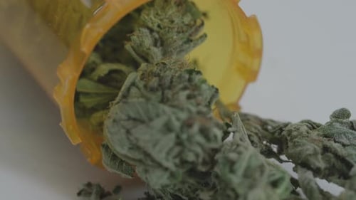 Medicamento de maconha medicinal com receita médica