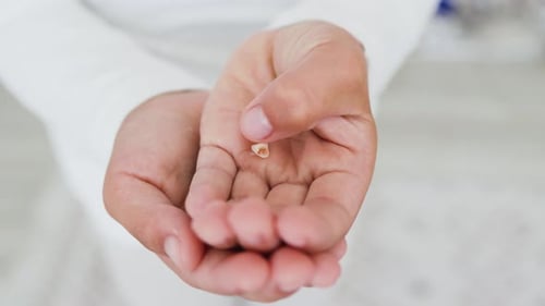 Dent de bébé tenue dans les petites mains d'un enfant, vue rapprochée