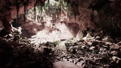 Fern Leaves Hang Vertically Down Over the Entrance to an Ancient Stone Cave