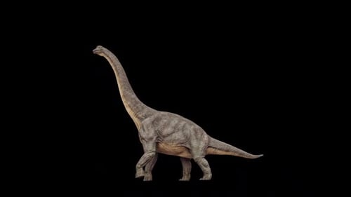 Boucle de randonnée en forme de dinosaure Brachiosaure