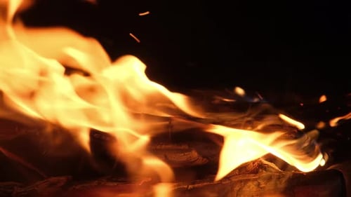 Close Up of Bright Flames Burning Wood