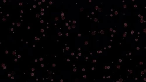 Romantic Blooming Flower Falling Overlay