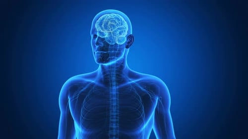 Digital human brain glowing with neural network activity in motion
