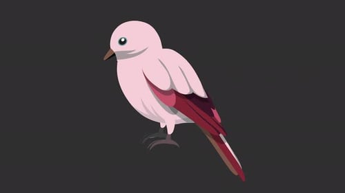 Cartoon Pink Bird Character Animation Loop