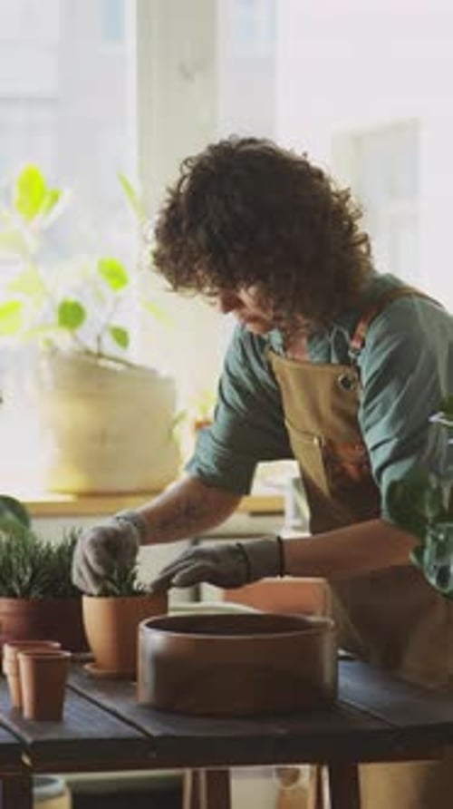 Female Botanist Replanting Succulent while Working at Floral Studio