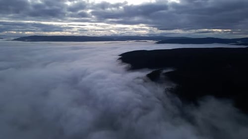 Aerial view on top of the clouds of a mountain with a forest rising above the clouds.