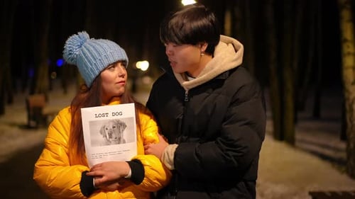 Handsome Asian Man Cheering Up Sad Caucasian Woman Standing with Lost Dog Placard on Night Street on