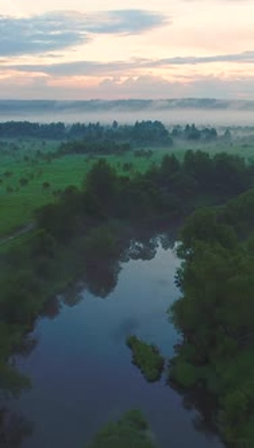 Flying Over River Green Field and Trees in Morning Haze Aerial View Vertical Video